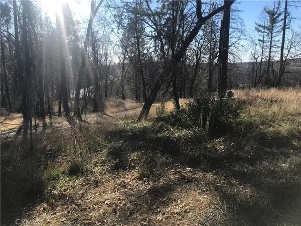 0 Four M Court, Berry Creek, CA 95916