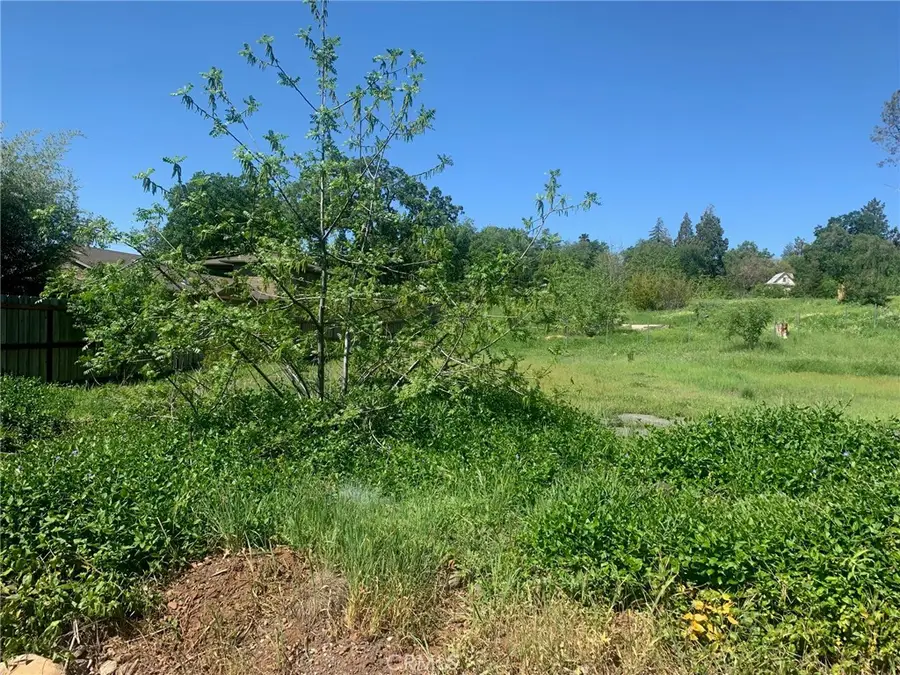 5295 Scottwood Drive, Paradise, CA 95969 - Image #3