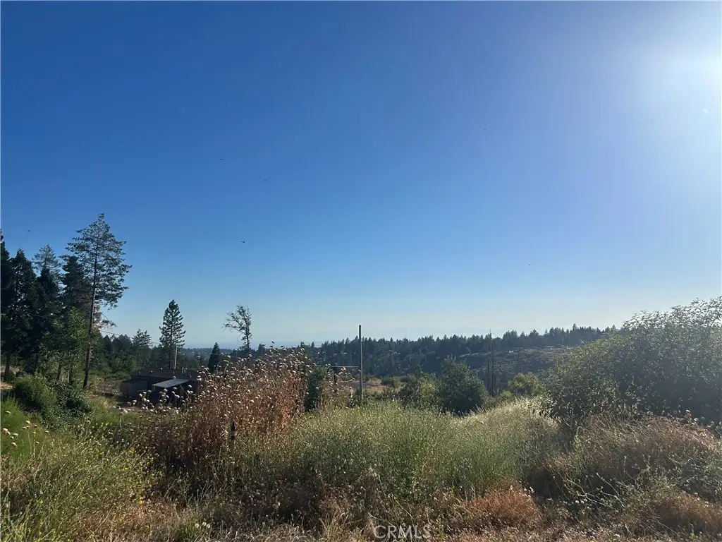 13753 Sugar Pine, Magalia, CA 95954 - #1