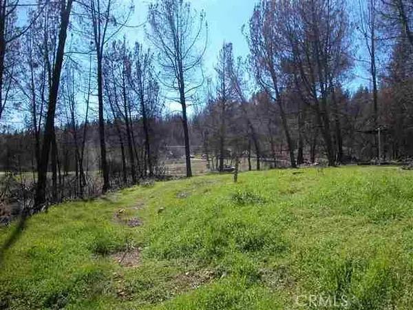 0 Buchner, Berry Creek, CA 95916