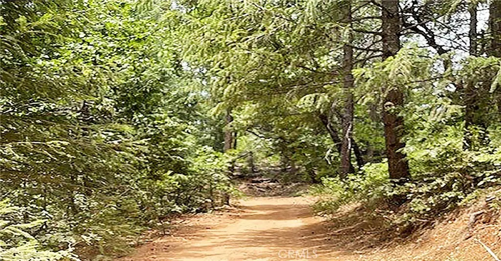 15052 Red Hill Spring Road, Nevada City, CA 95959 - Image #1