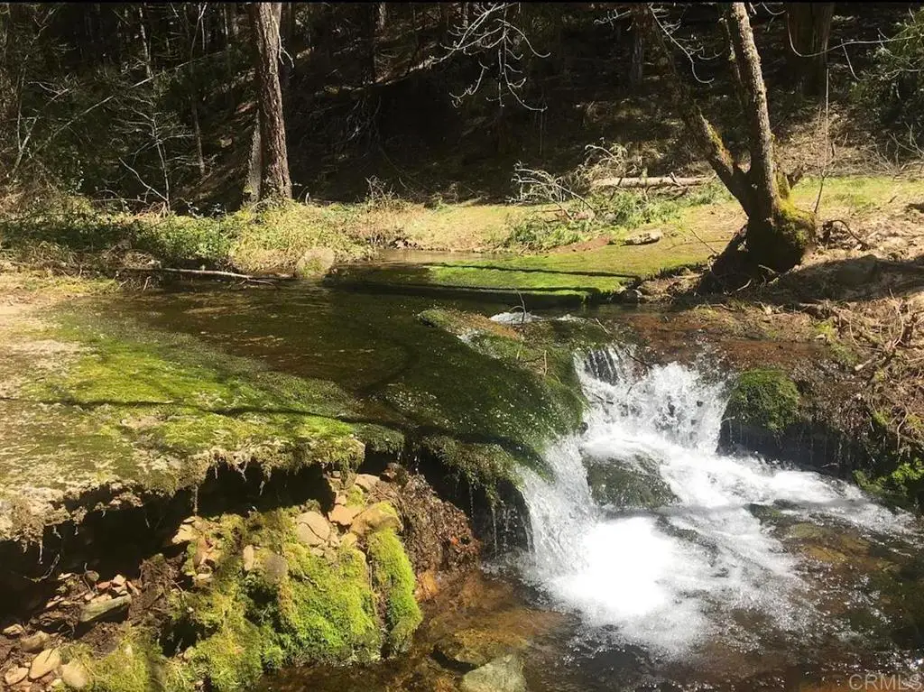 4952 Sierra Springs Drive, Pollock Pines, CA 95726 - #1