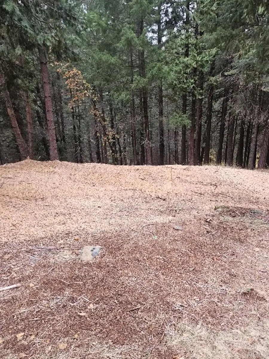 4952 Sierra Springs Drive, Pollock Pines, CA 95726 - #2