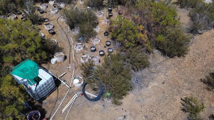 46400 Terwilliger Road, Anza, CA 92539 - Image #3