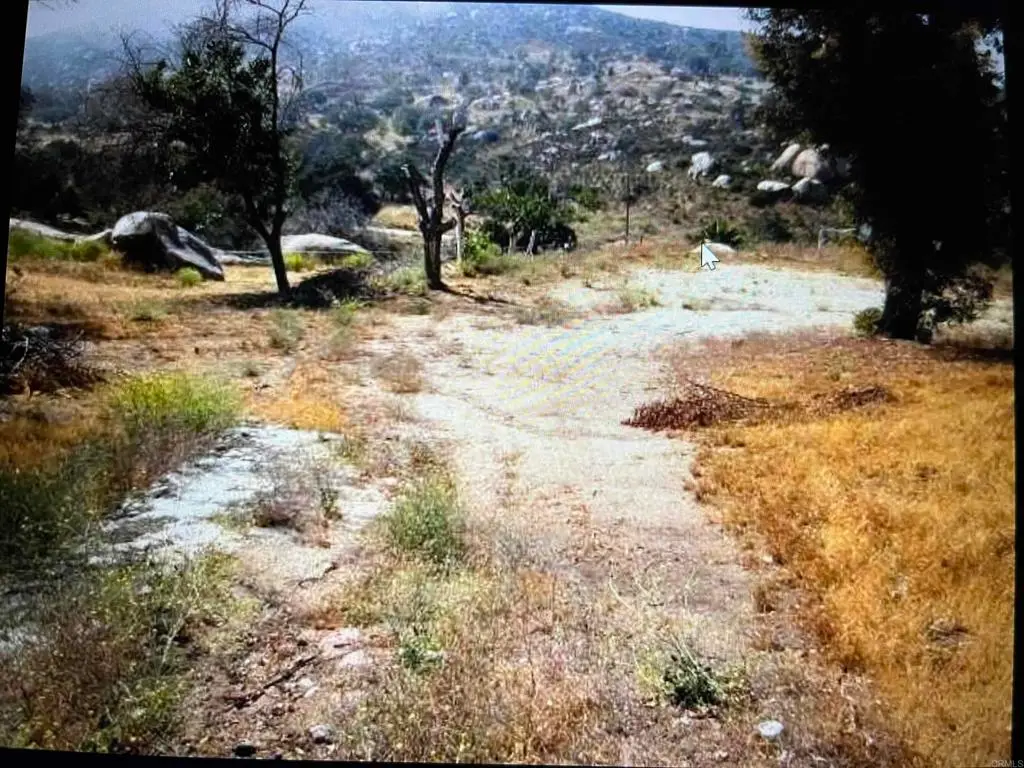 20670 Tumeric Way, Jamul, CA 91935 - #1