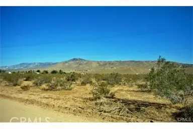 #3