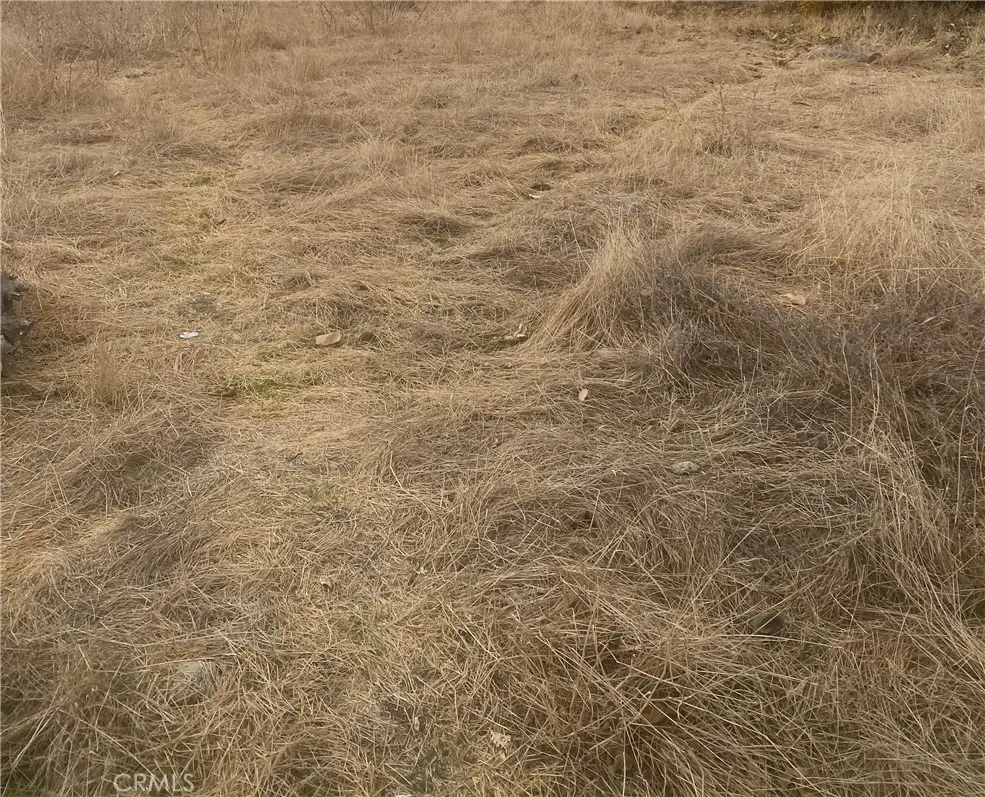 0 Vac/vic, Llano, CA 93544 - Image #1