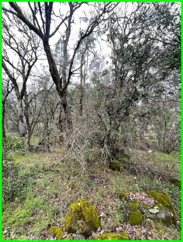 15652 Highland Avenue, Clearlake, CA 95422 - #3