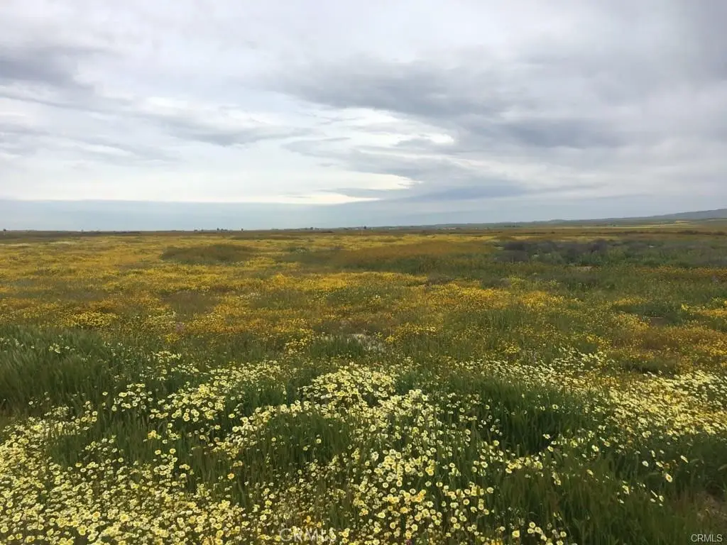 0 Davville, California Valley, CA 93453 - #1