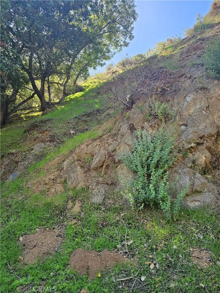 2145 Laurel Canyon Boulevard, Los Angeles, CA 90046 - #1