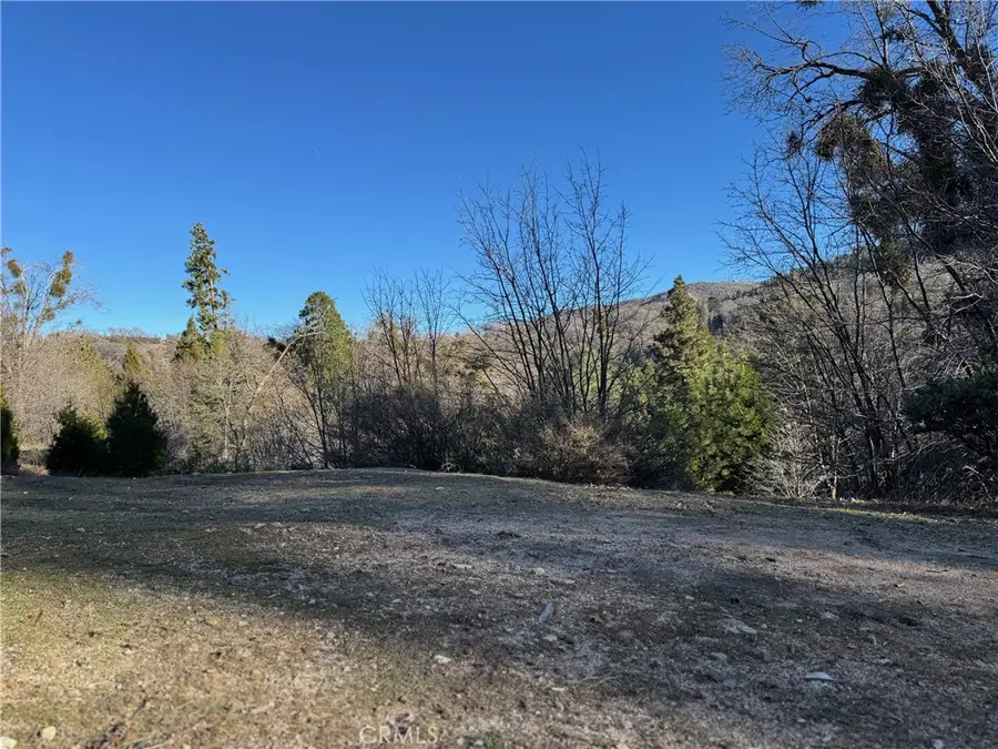 29373 Pine, Cedar Glen, CA 92321 - #2