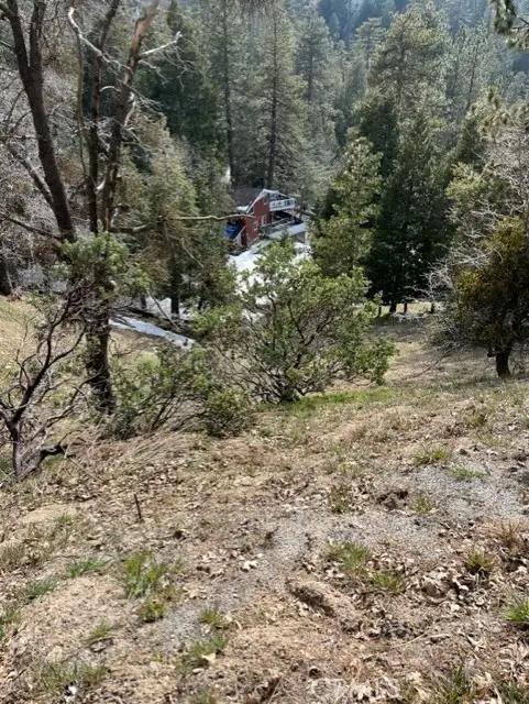 818 Berne, Crestline, CA 92391 - Image #3