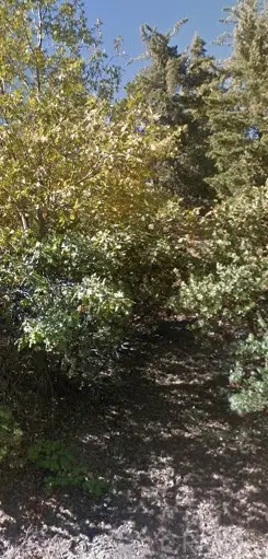 0 Maplewood Dr, Lake Arrowhead, CA 92352 - Image #1