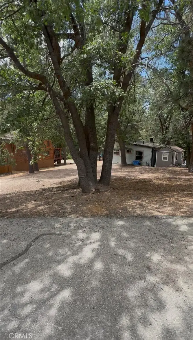 0 Wild Rose, Green Valley Lake, CA 92341 - #3