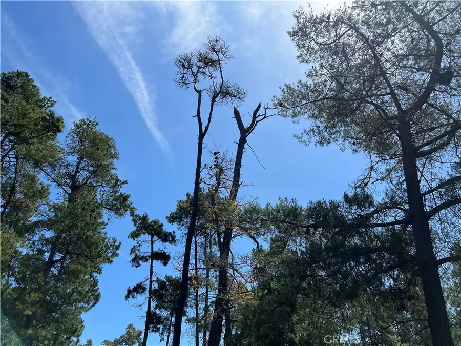 0 Kenneth Drive, Cambria, CA 93428 - #3