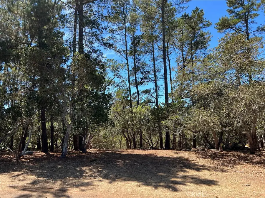 1865 Dreydon Avenue, Cambria, CA 93428 - #2