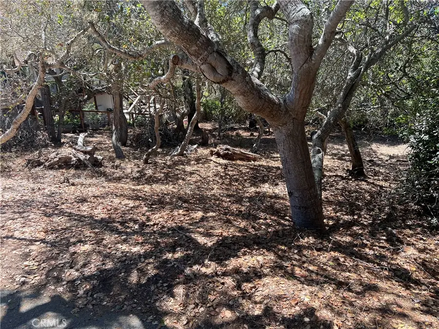 1845 Norwich Avenue, Cambria, CA 93428 - #3