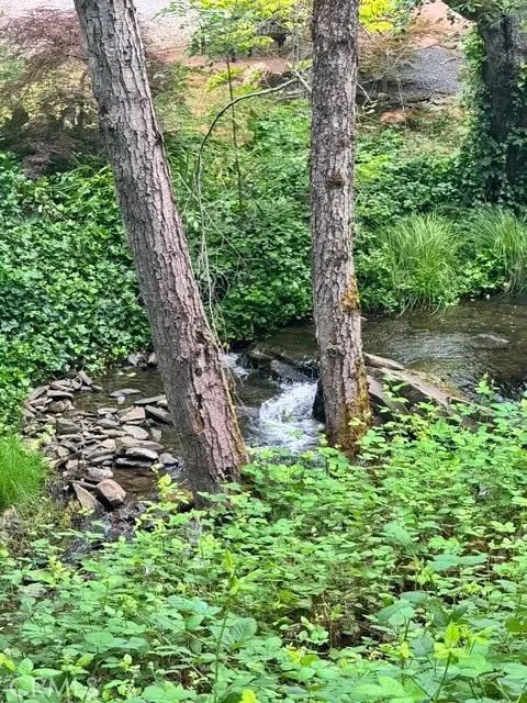 2601 Murphys Grade Road, Murphys, CA 95247 - #2