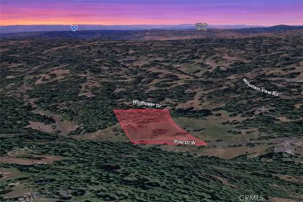 25700 Wildflower Drive, Pioneer, CA 95689