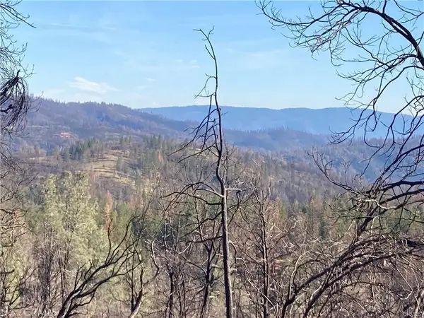 191 Ruiz Road, Berry Creek, CA 95916