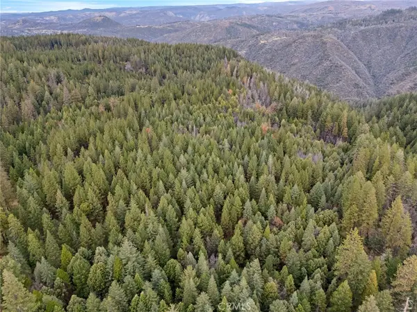 0 Old Forbestown Road, Forbestown, CA 95941