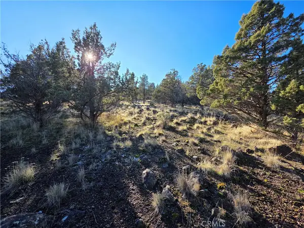 25 Quail Ridge, Weed, CA 96094