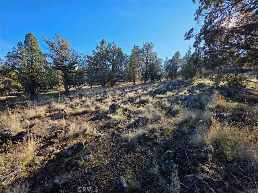 25 Quail Ridge, Weed, CA 96094 - #2