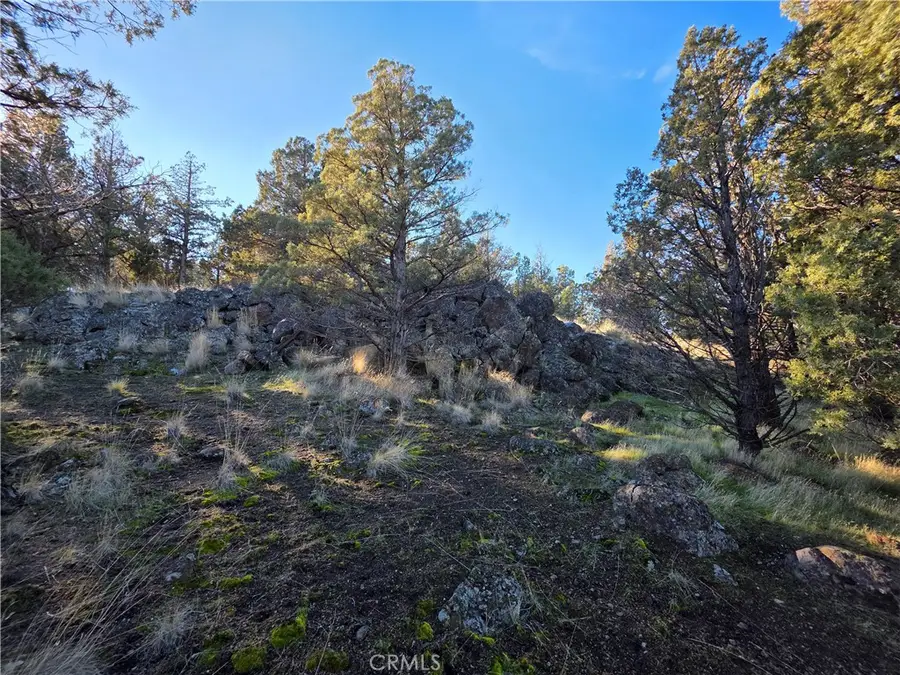 25 Quail Ridge, Weed, CA 96094 - #3