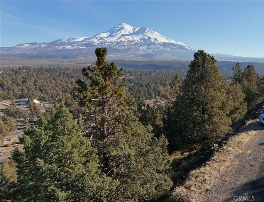 44 43 Dwinell Drive, Weed, CA 96094 - #2