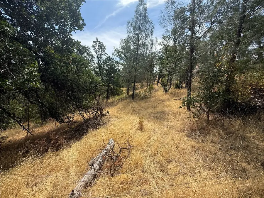 16295 Hillcrest Drive, Corning, CA 96021 - #2