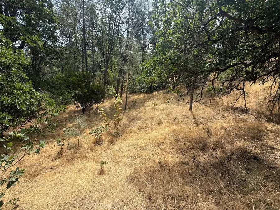 16295 Hillcrest Drive, Corning, CA 96021 - #3