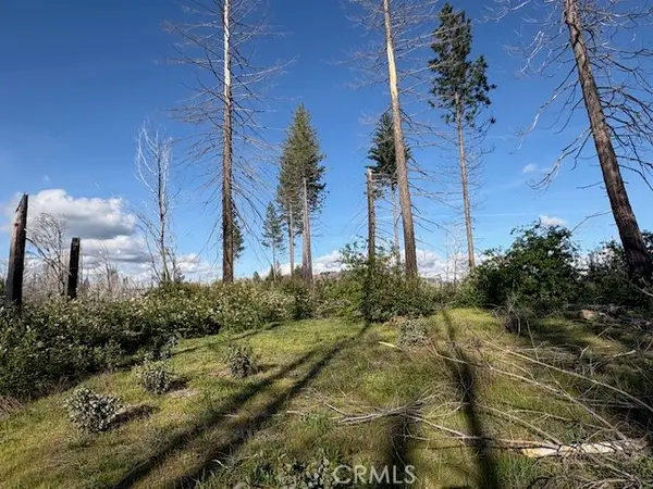 0 Bald Rock Road, Brush Creek, CA 95916