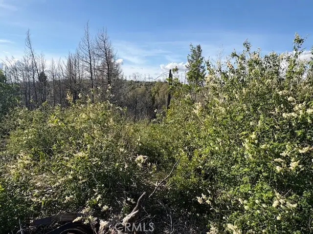 0 Bald Rock Road, Brush Creek, CA 95916 - #3