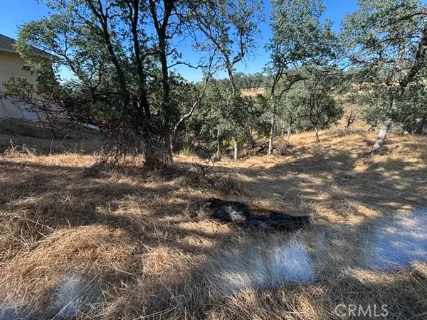 19932 Freshwater Drive, Cottonwood, CA 96022