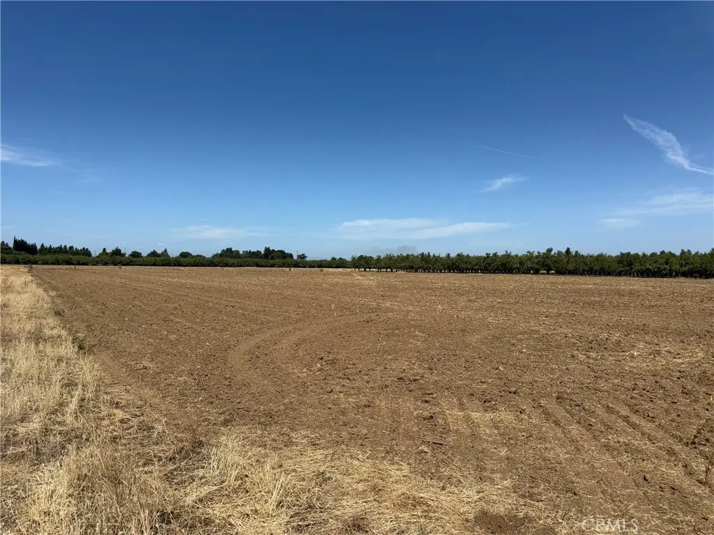 0 Jones, Durham, CA 95938 - #1