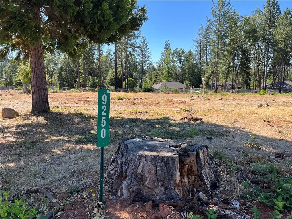 9250 Skyway Road, Paradise, CA 95969 - #1