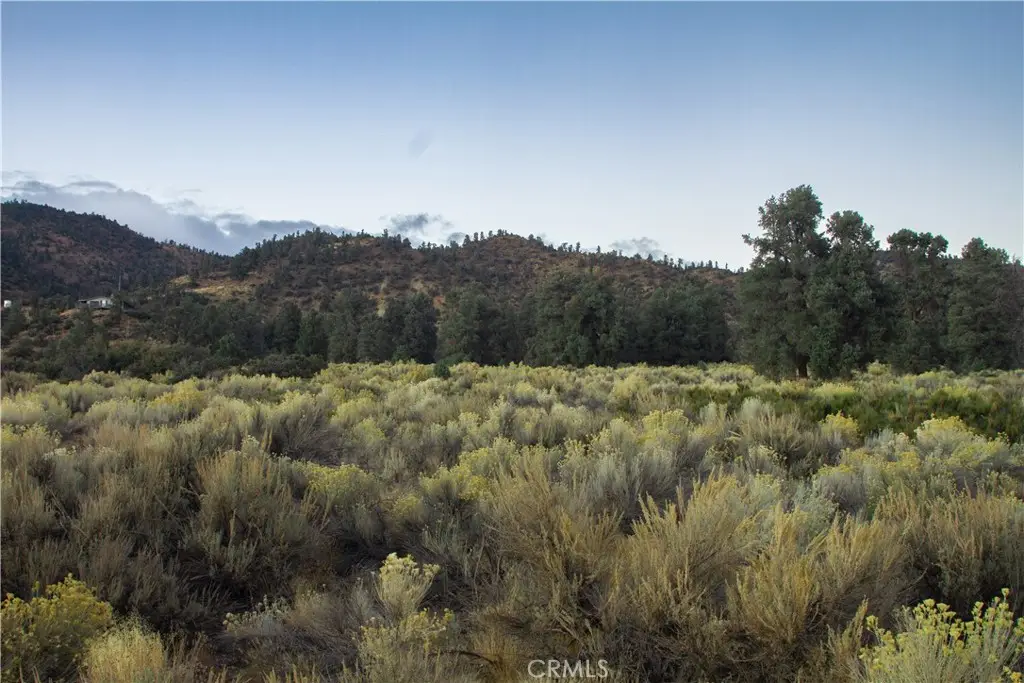 0 Curtis Trl, Frazier Park, CA 93225 - #1