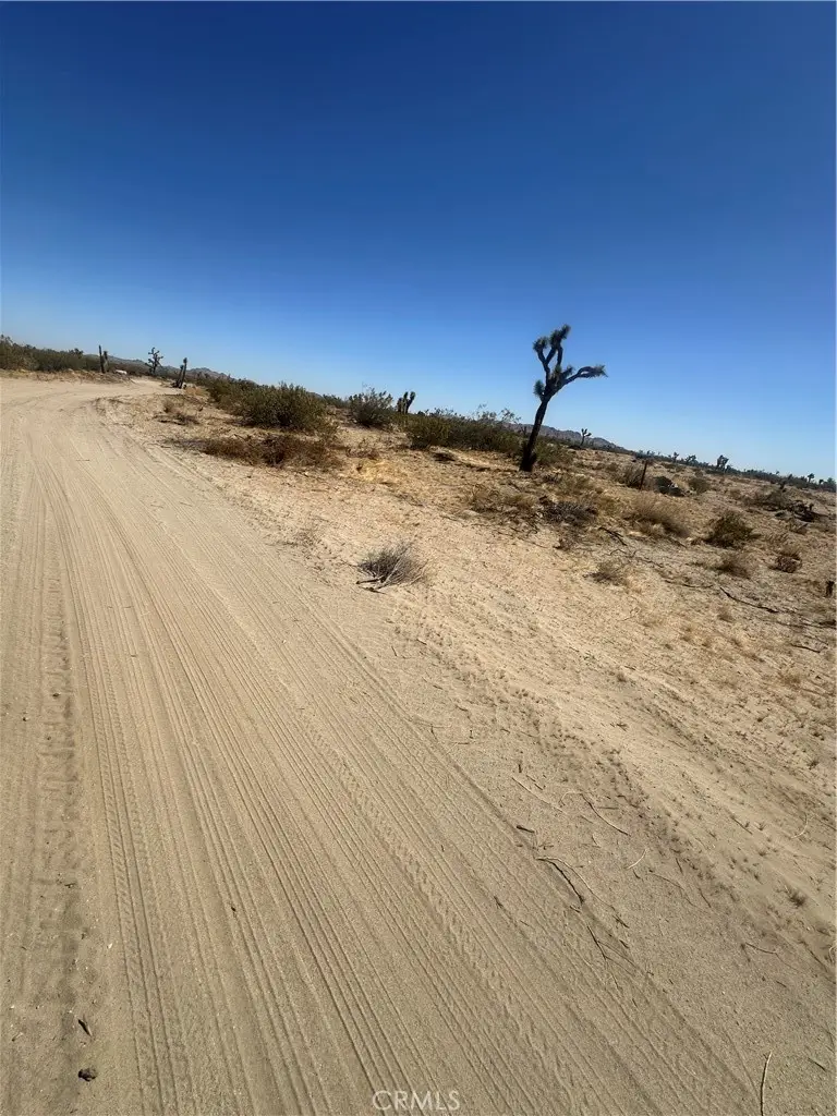 10 East Ave S, Sun Village, CA 93543 - Image #3