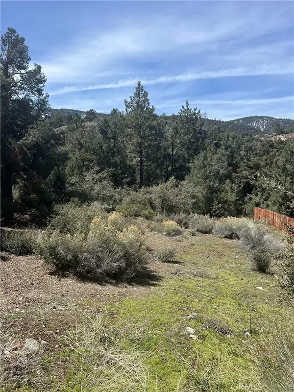 2029 Zermatt Drive, Pine Mountain Club, CA 93222