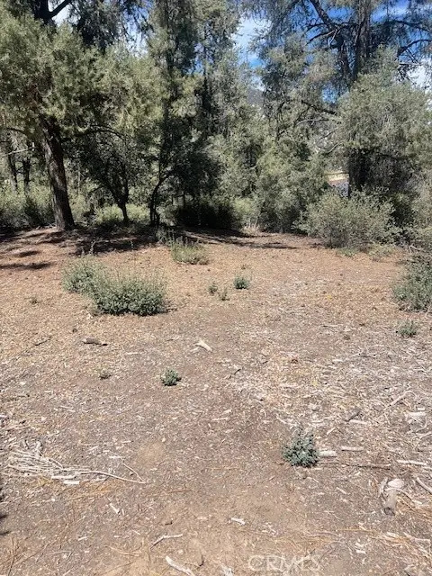 2426 Cedarwood, Pine Mountain Club, CA 93222