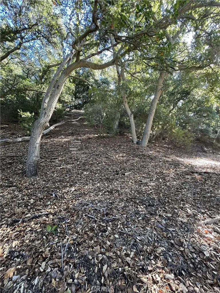 0 Old Topanga Canyon Rd, Topanga, CA 90290 - #3