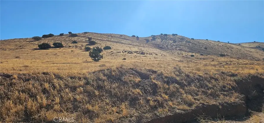 0 Rough Road, Palmdale, CA 93550 - Image #3