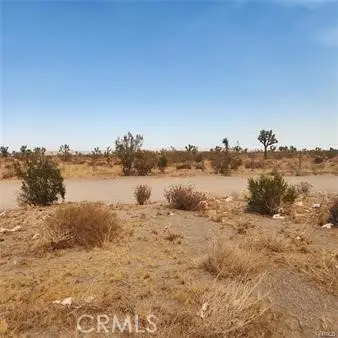1595 La Mesa Road, Pinon Hills, CA 92372 - #1