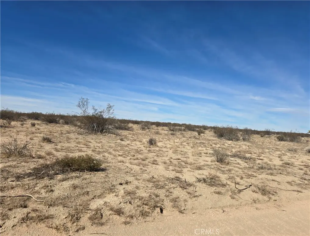 42924 250th, Lancaster, CA 93535 - #1