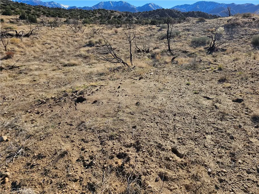 6 128th E, Juniper Hills, CA 93543 - #2