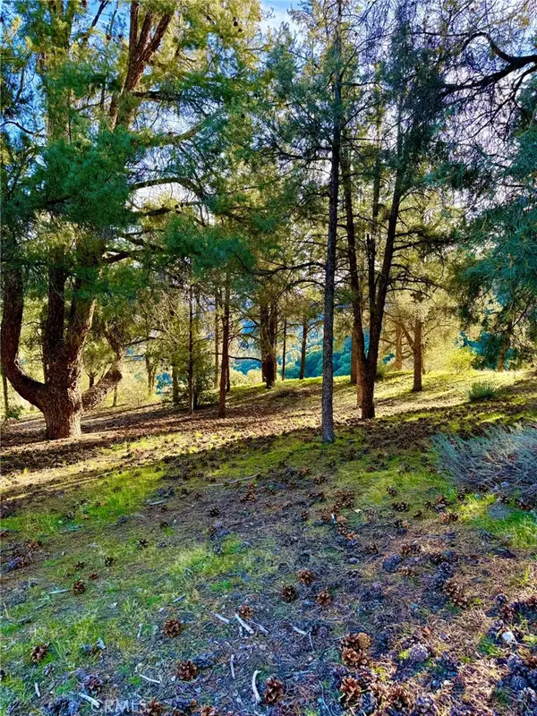 2604 Tirol, Pine Mountain Club, CA 93225