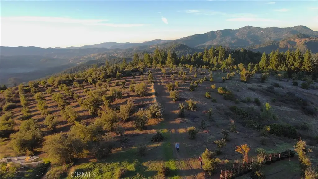 47211 Fox Rock, Laytonville, CA 95454 - #1