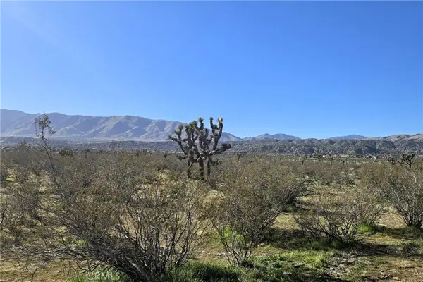 105 th E Ave V8 & 106th E, Pearblossom, CA 93553