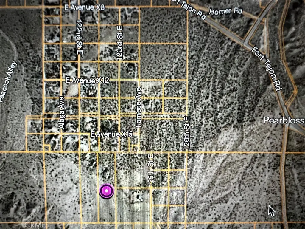 0 123rd, Juniper Hills, CA 93543 - #1