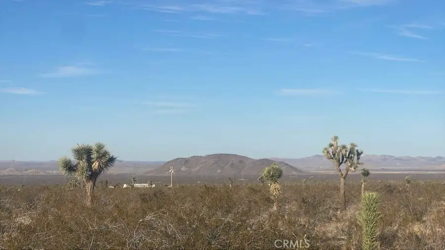 0 Vac/vic Avenue W4/207 Ste, Llano, CA 93591 - #3